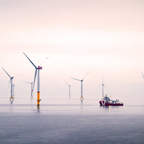 Advanced network projects